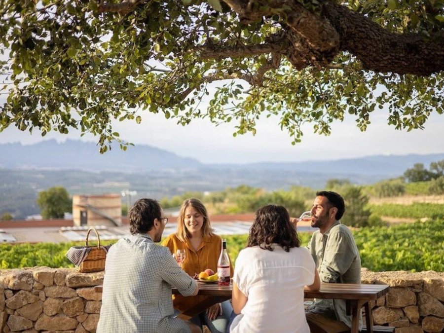 A group enjoying a picnic with wine at a table under a tree in the Penedes region