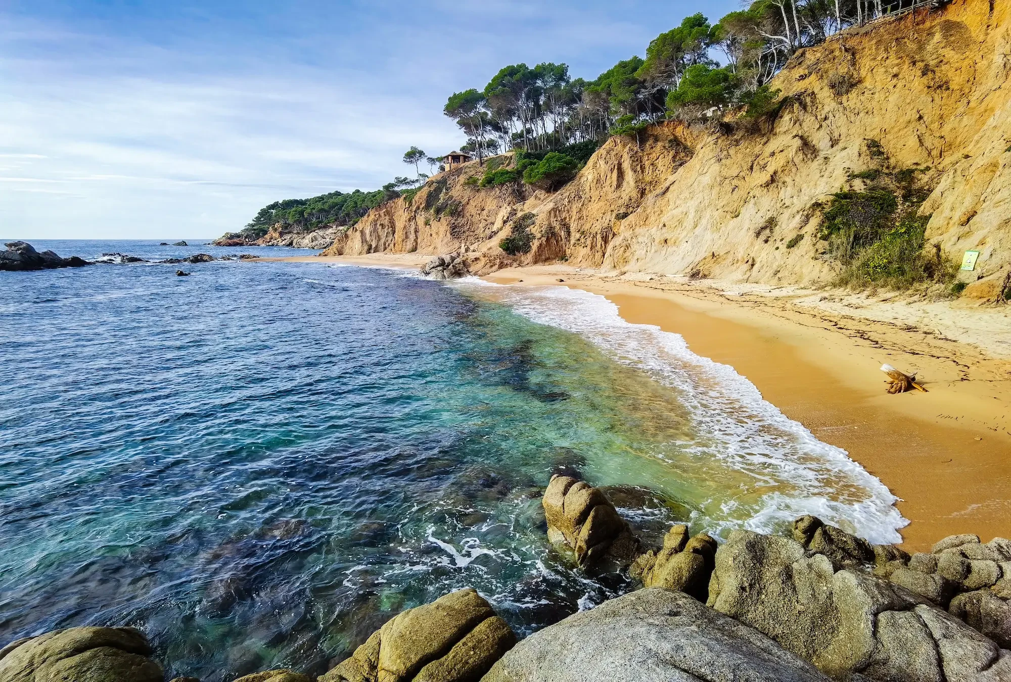 A deserted cove with a sandy beach and pine trees on the coast brava