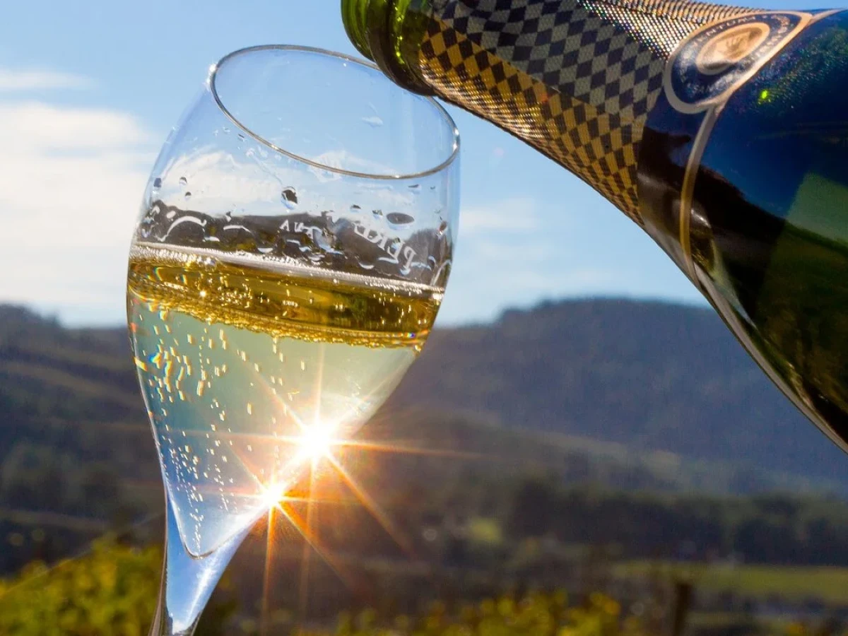 A glass of cava with the sun behind it