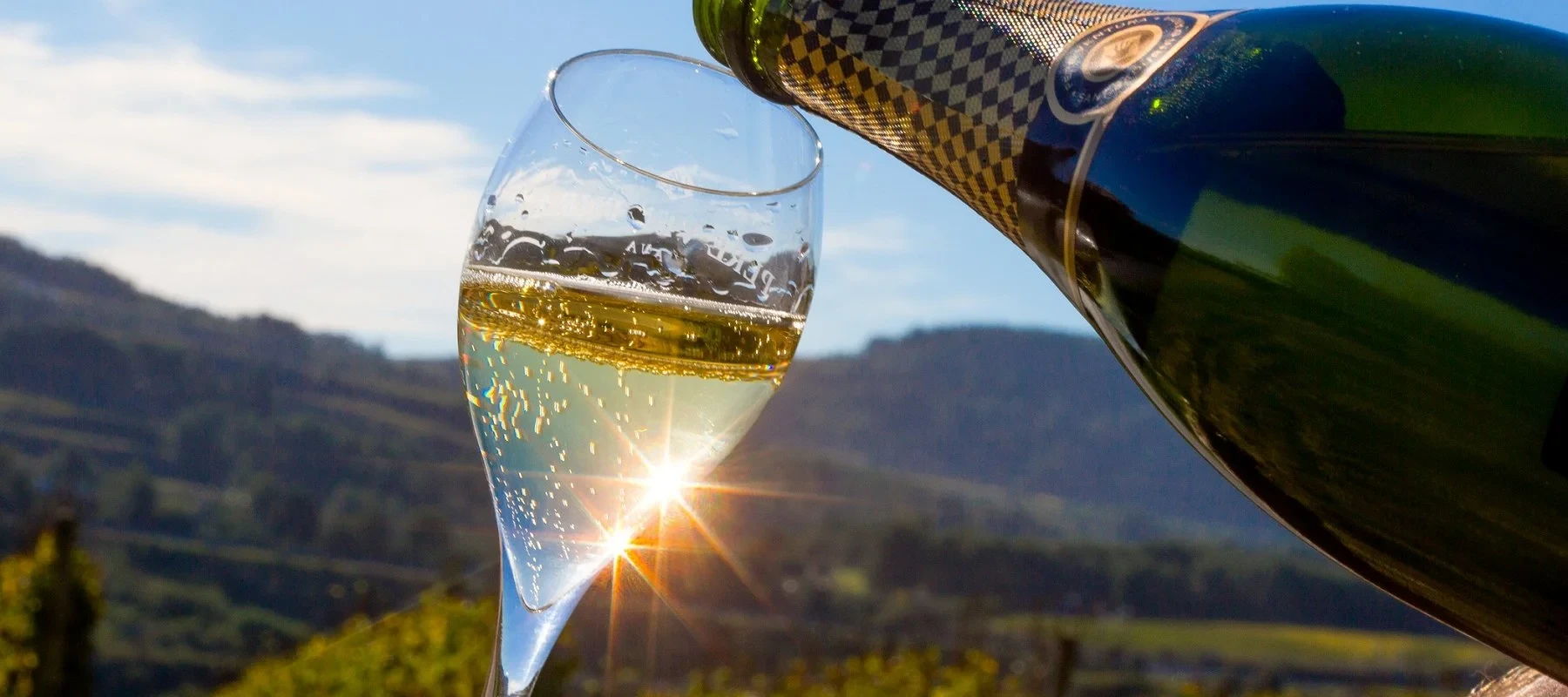 A glass of cava with the sun behind it