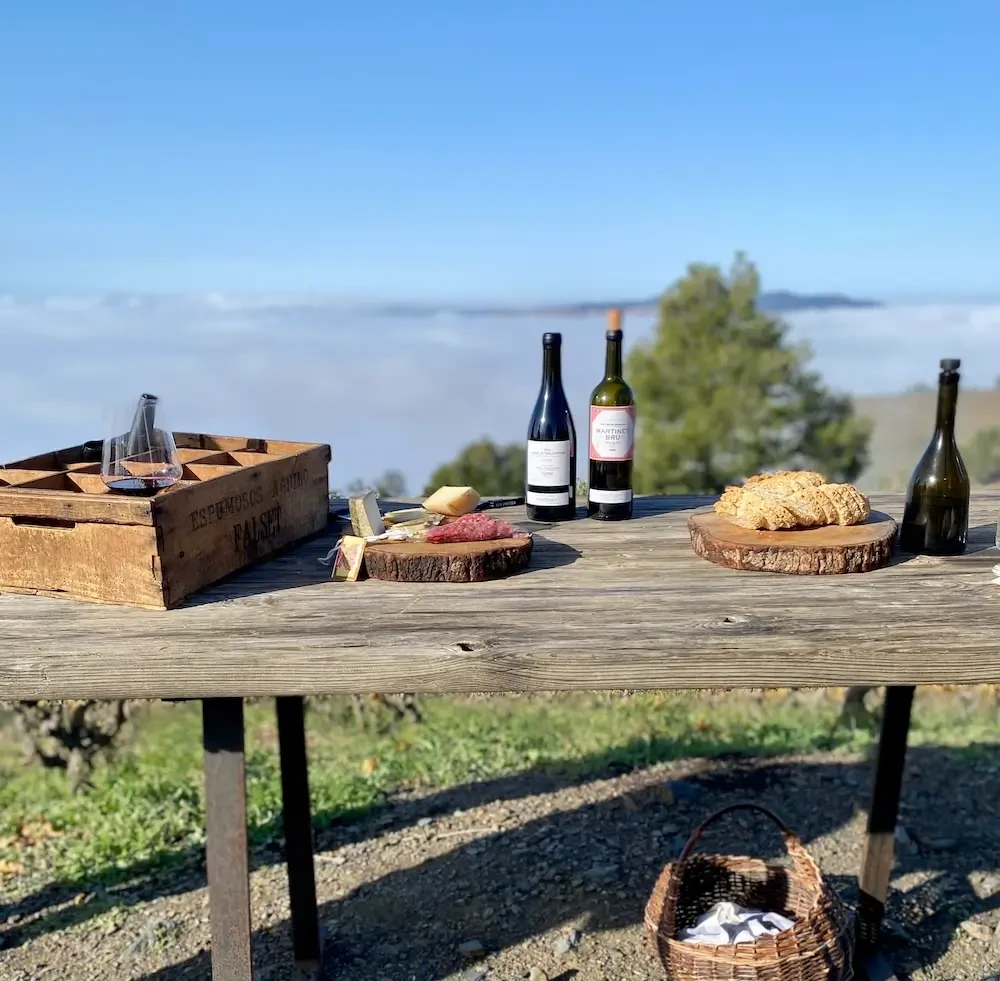 A wine tasting during a Priorat wine tour with wine bottles, cold meats, cheeses and a view over vineyards