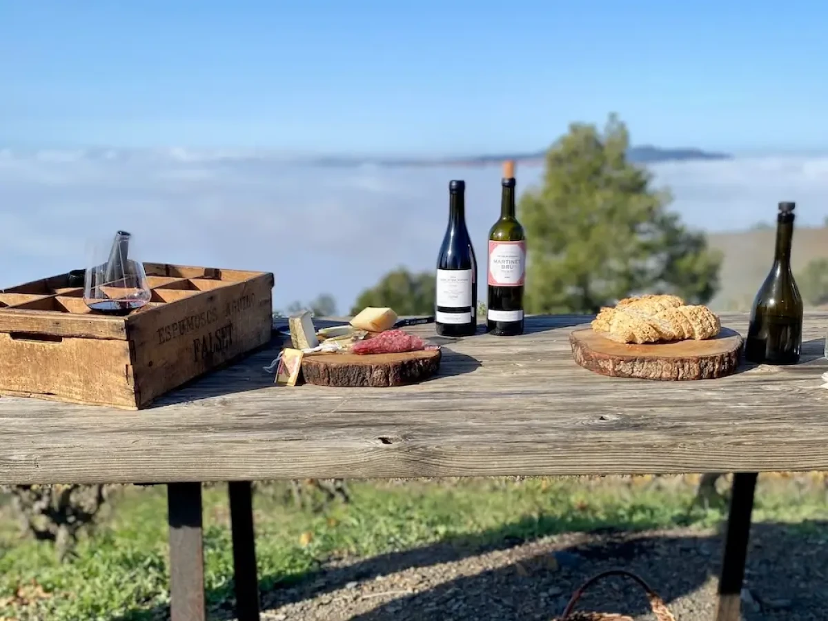 A wine tasting during a Priorat wine tour with wine bottles, cold meats, cheeses and a view over vineyards