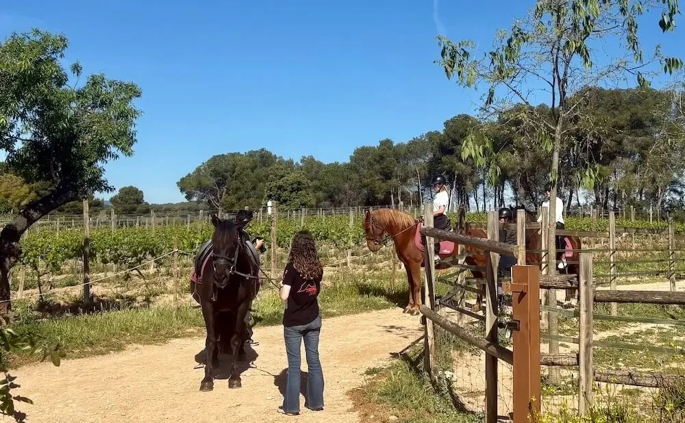 horses and riders waiting to start a ride through the vineyards