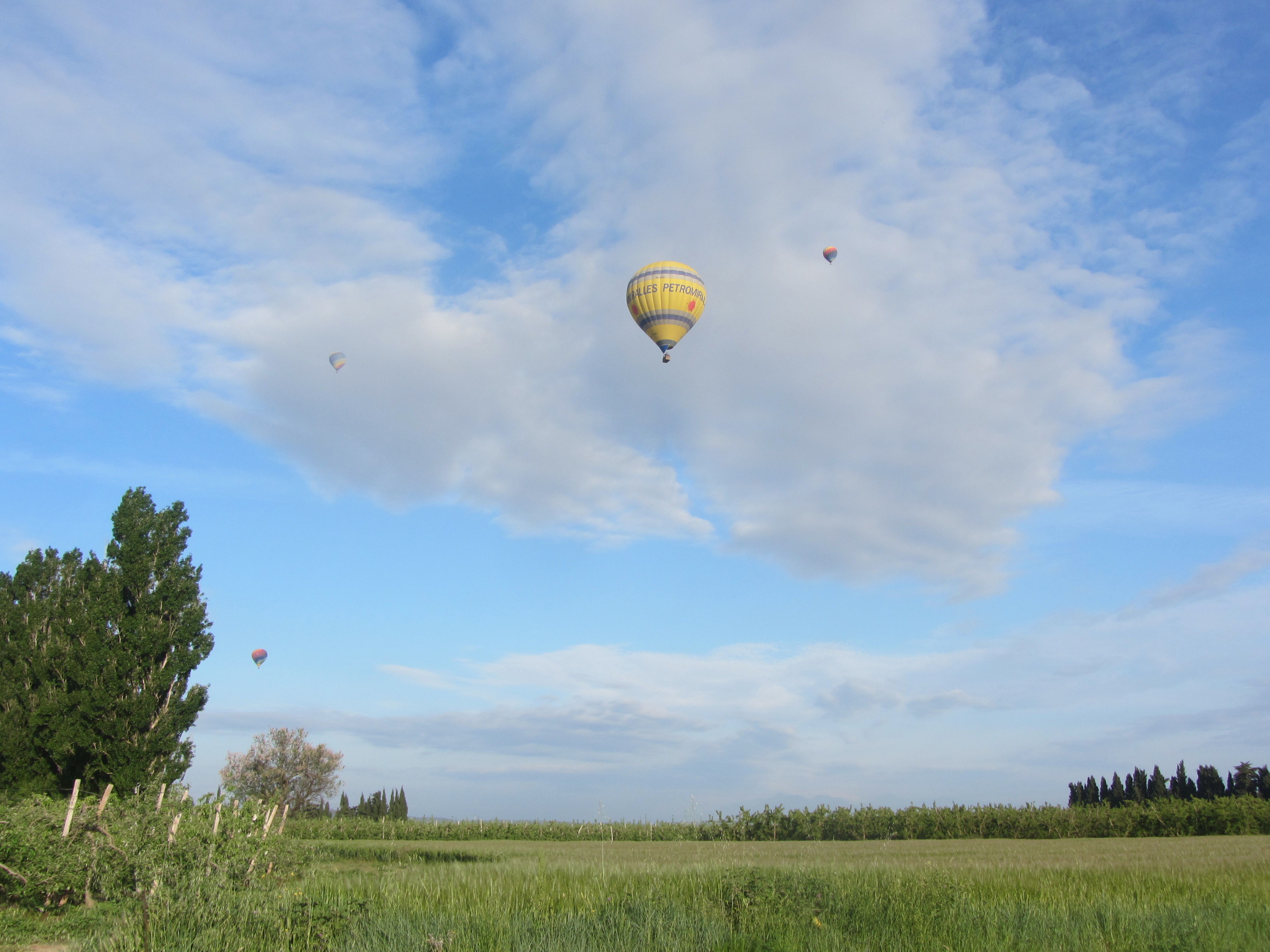 Hot air balloon over the countryside