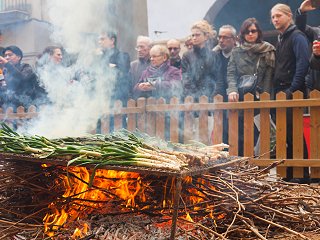 A group roasting Catalan calçots
