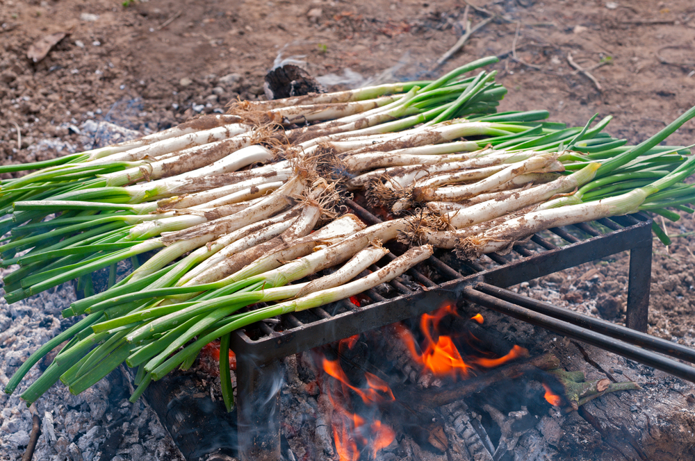 Calçots roasting on an barbecue